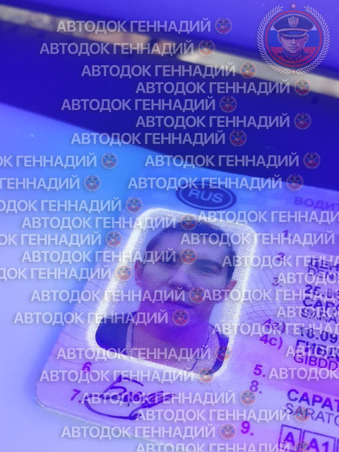 Фото из отчёта