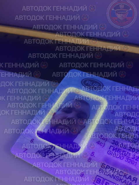 Фото из отчёта