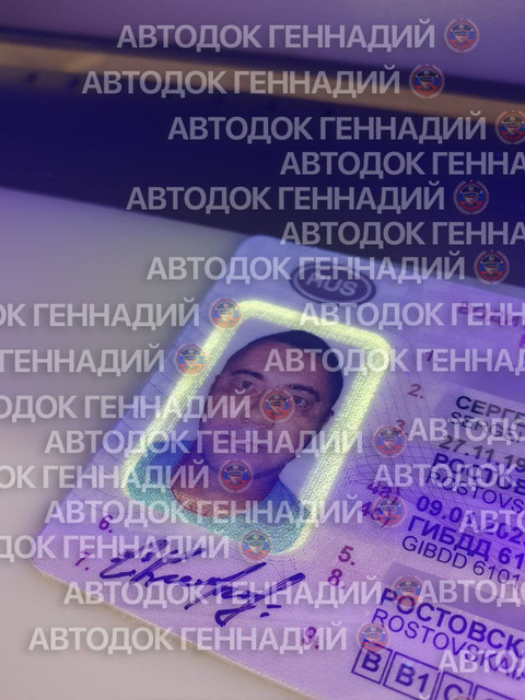 Фото из отчёта