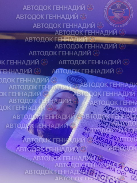 Фото из отчёта